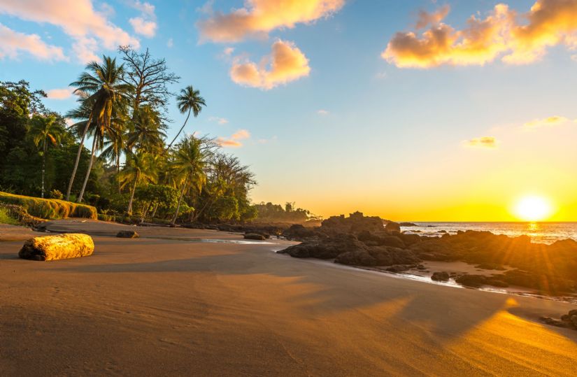 Corcovado National Park beach at sunset with palm trees in the distance