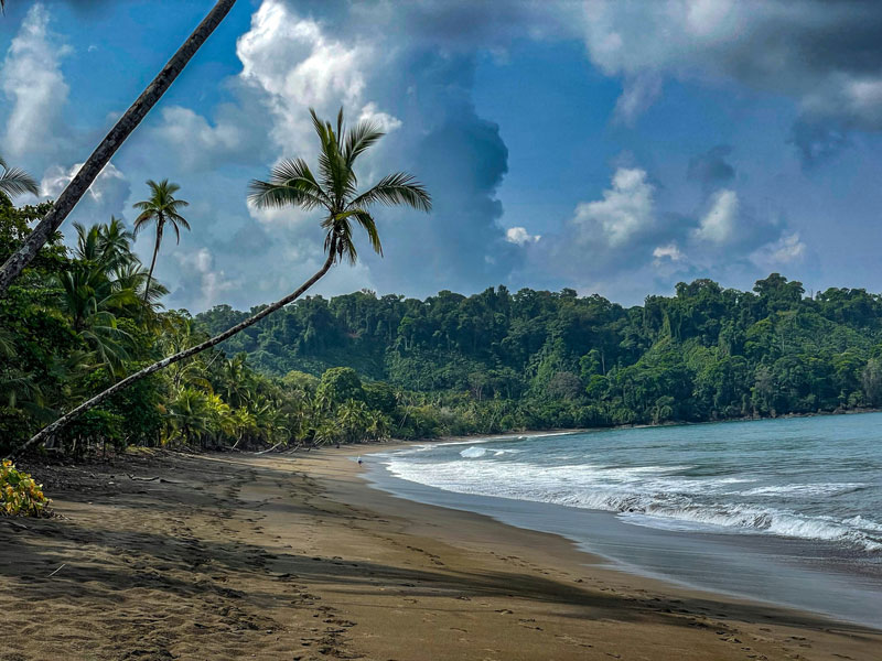 Drake Bay is one of the most untouched natural wonders in Costa Rica.