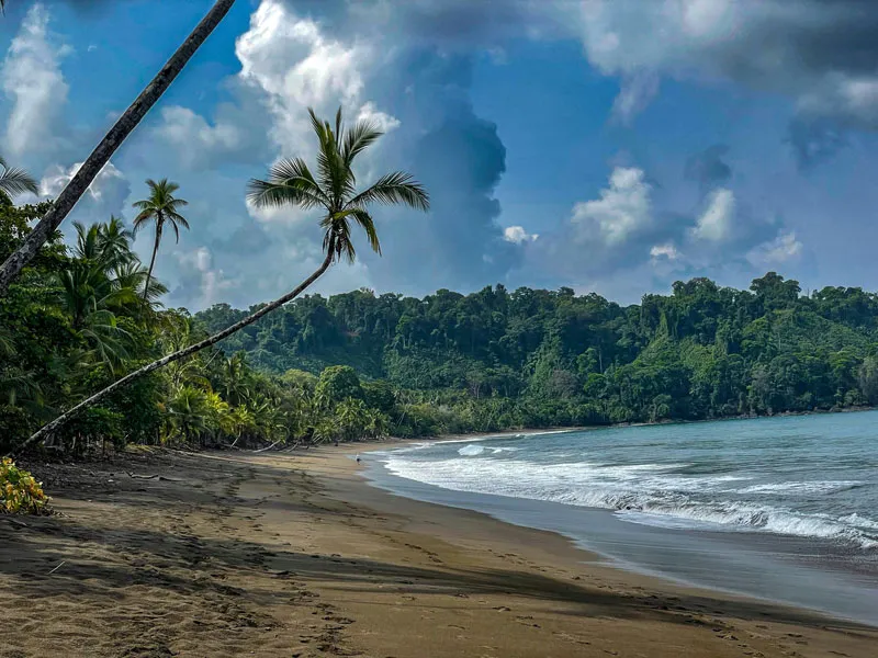Drake Bay is one of the most untouched natural wonders in Costa Rica.