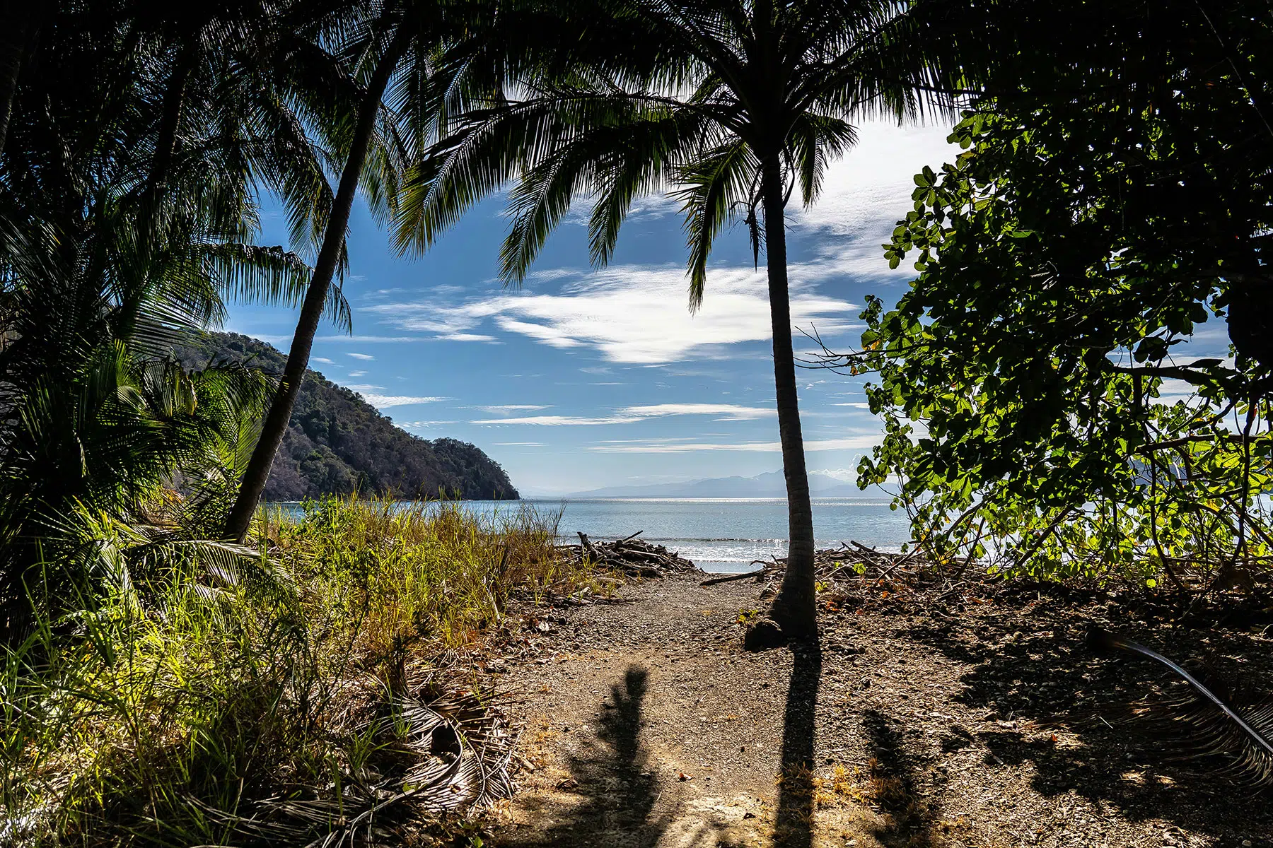 A peekaboo image of a beach in front of some palm trees with water and islands in the distance