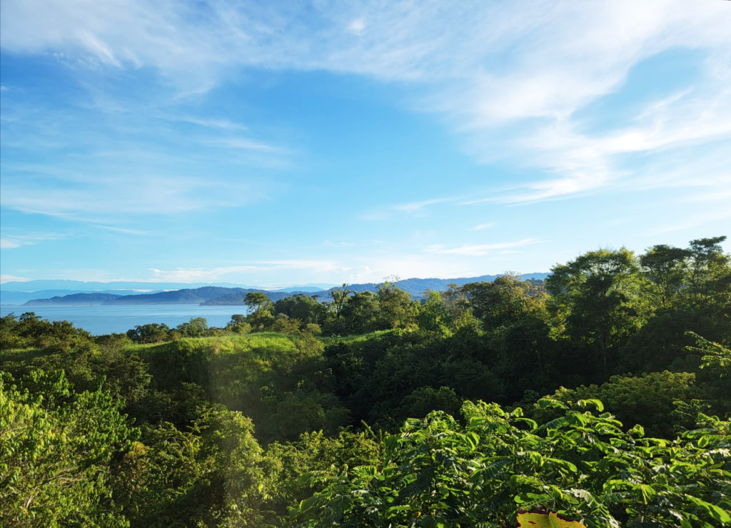 Experience Ocean Views at Our Drake Bay Hotel