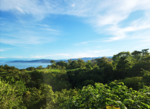 Experience Ocean Views at Our Drake Bay Hotel