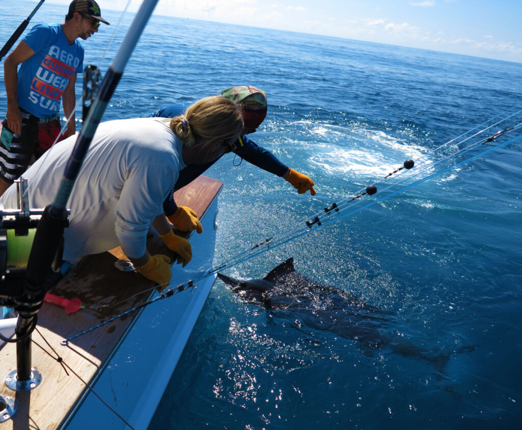 deep‑sea fishing in Drake Bay Costa Rica with anglers and shark in the water