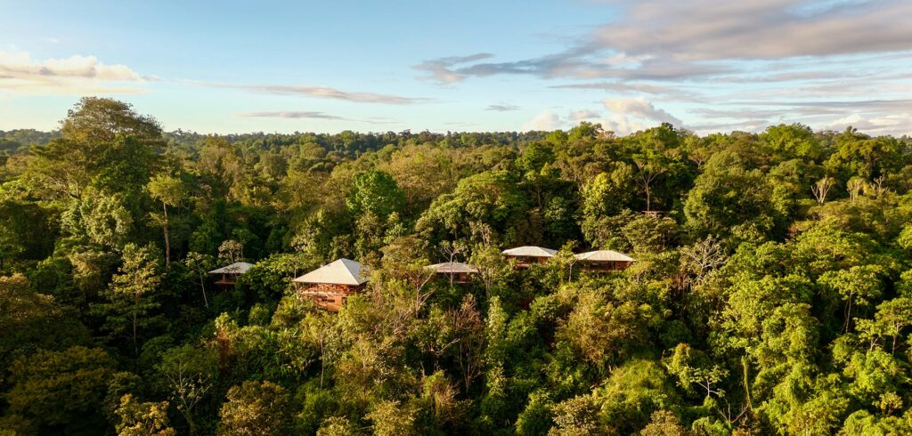 eco‑lodge bungalows surrounded by rainforest in Drake Bay Costa Rica