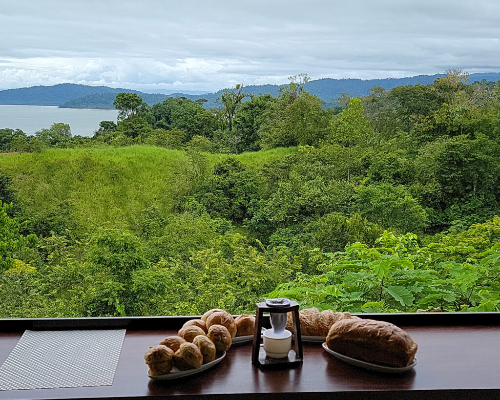 breakfast with rainforest and ocean view in Drake Bay Costa Rica