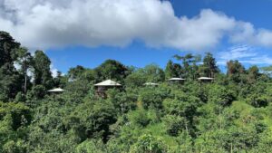 Eco-friendly bungalows nestled among dense tropical forest in Drake Bay.