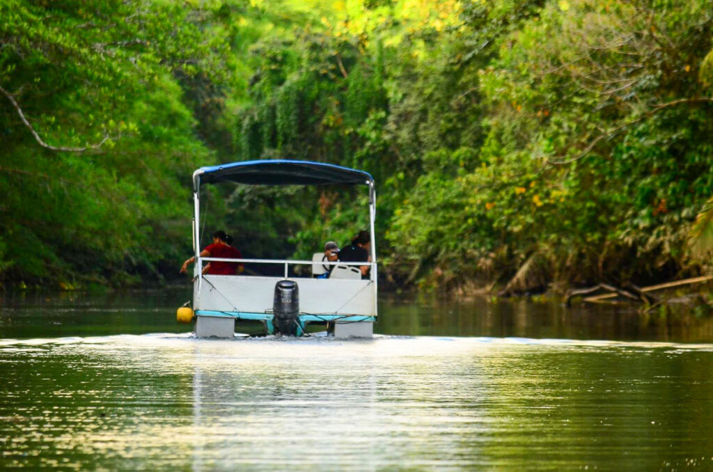 Boat navigating a calm jungle river surrounded by dense tropical vegetation in Drake Bay, Costa Rica.