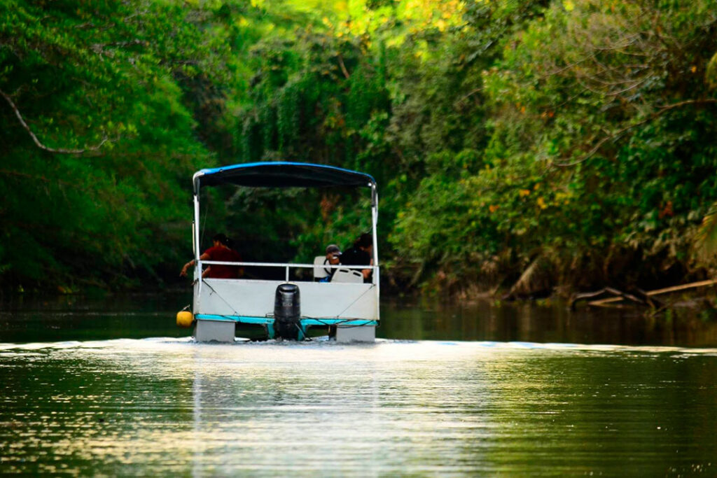 Boat Tour