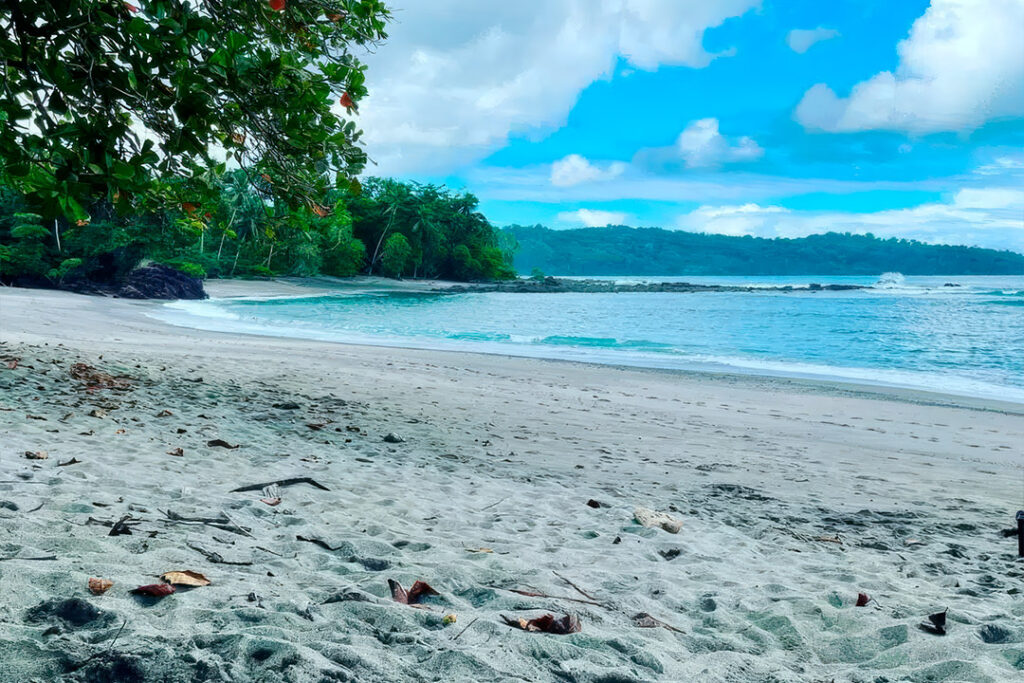 Tropical beach with turquoise water, driftwood, and lush green hillside in Drake Bay, Costa Rica