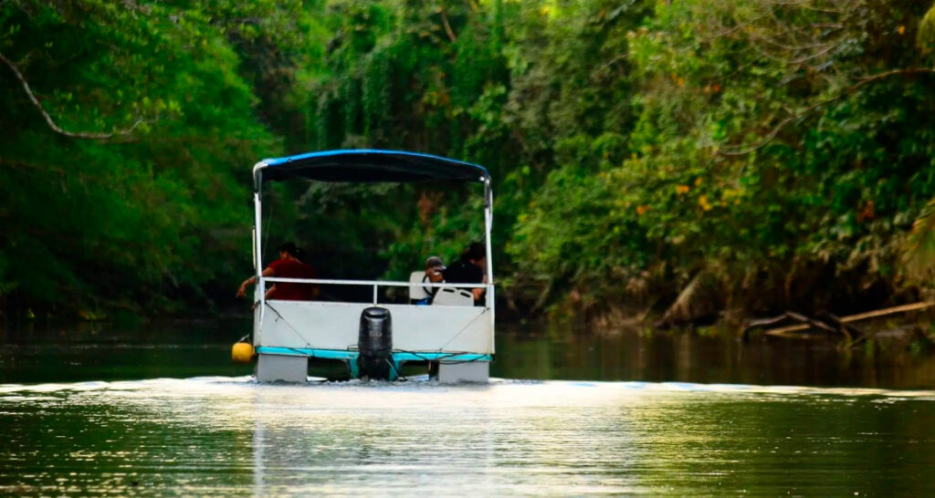 A river boat tour exploring the Osa Peninsula's jungle near Drake Bay.