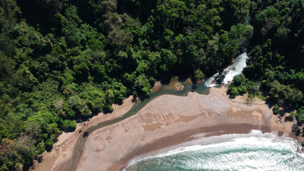 Aerial view of San Pedrillo coastline with rainforest, river estuary, and sandy beach in Drake Bay, Costa Rica