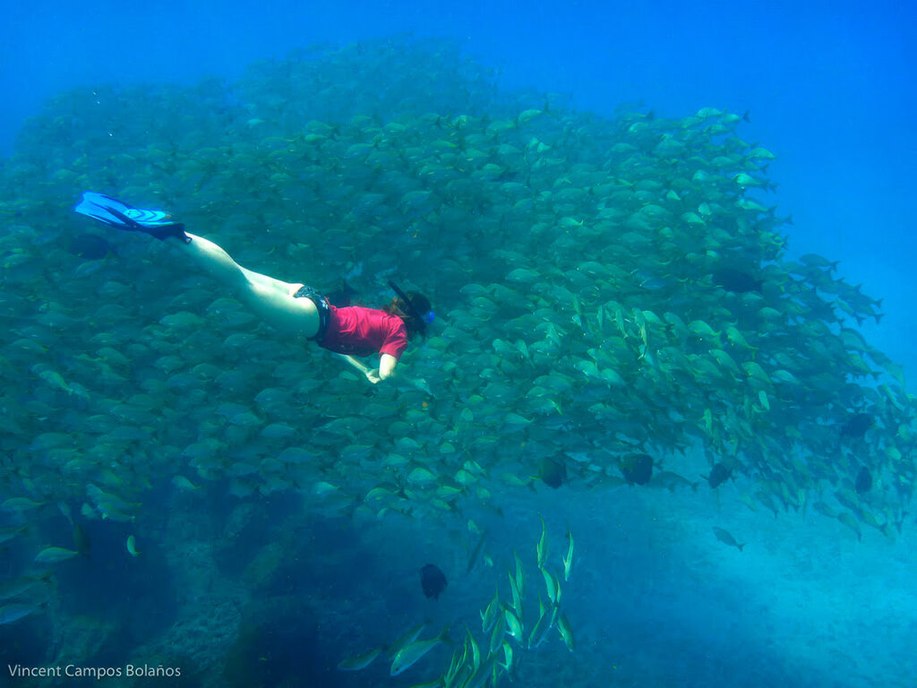 Scuba Diving and Snorkeling Tours