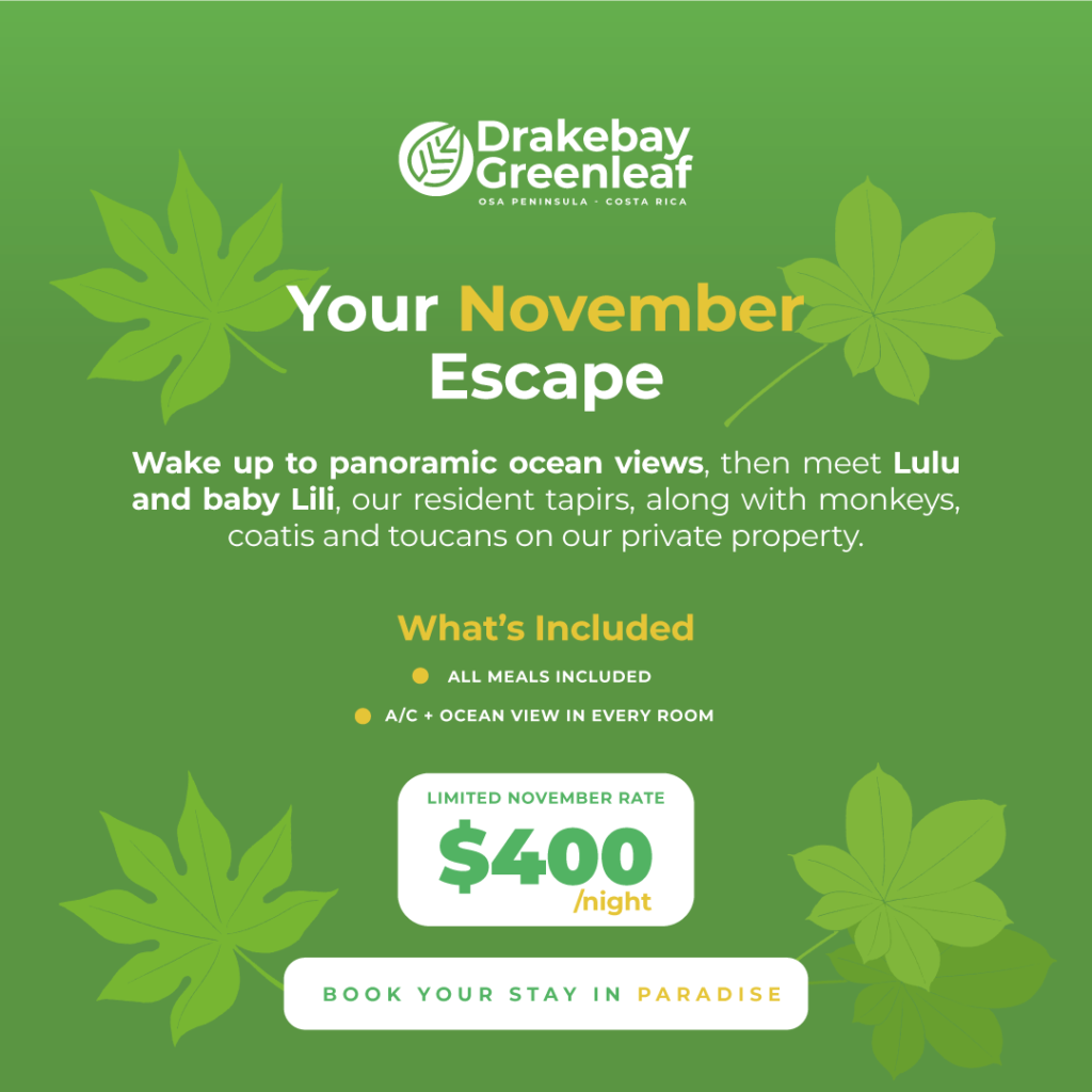 Panoramic ocean views and wildlife experience at Drakebay Greenleaf in November.